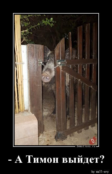 Демотиваторы на любой вкус: «Когда пельмени ещё не остыли» 