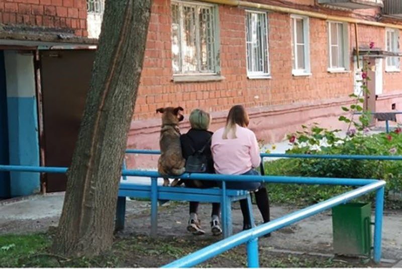 Милая, тебе снятся эротические сны? анекдоты,веселье,демотиваторы,приколы,смех,юмор