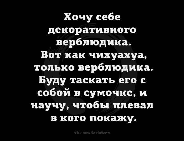 17 разрывных анекдотов для отличного настроя. Позитив на весь день!