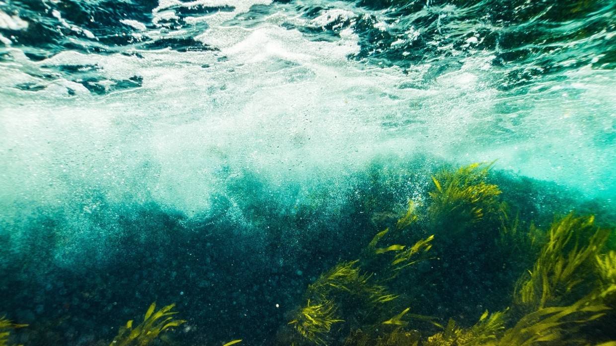 Крупнейшее в истории Земли вымирание могло произойти из-за изменения океанических течений