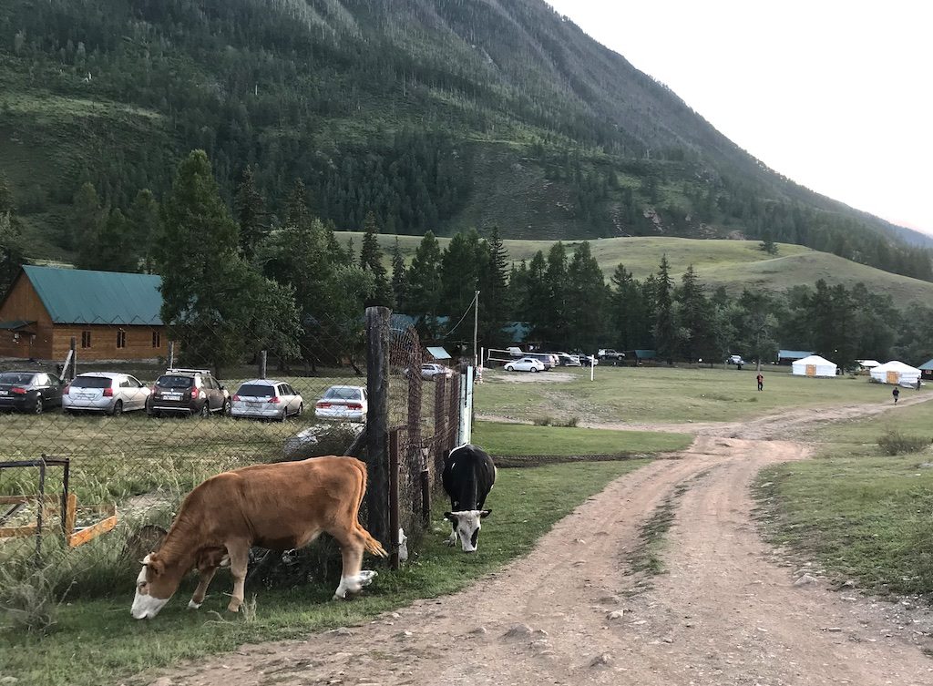 Путешествие на Алтай. К Голубому озеру через перевал Чике-Таман 