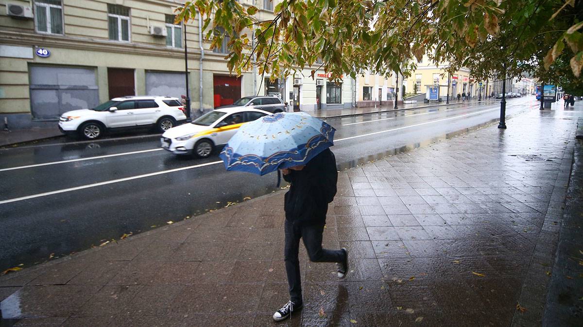 За прошедшие сутки в Московской области выпало 67 процентов месячной нормы осадков