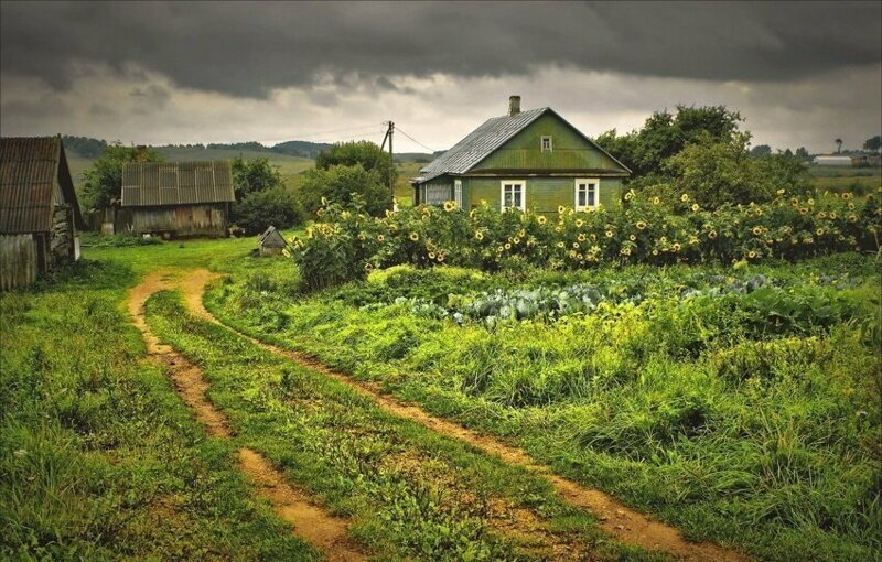 Родные просторы Родные просторы