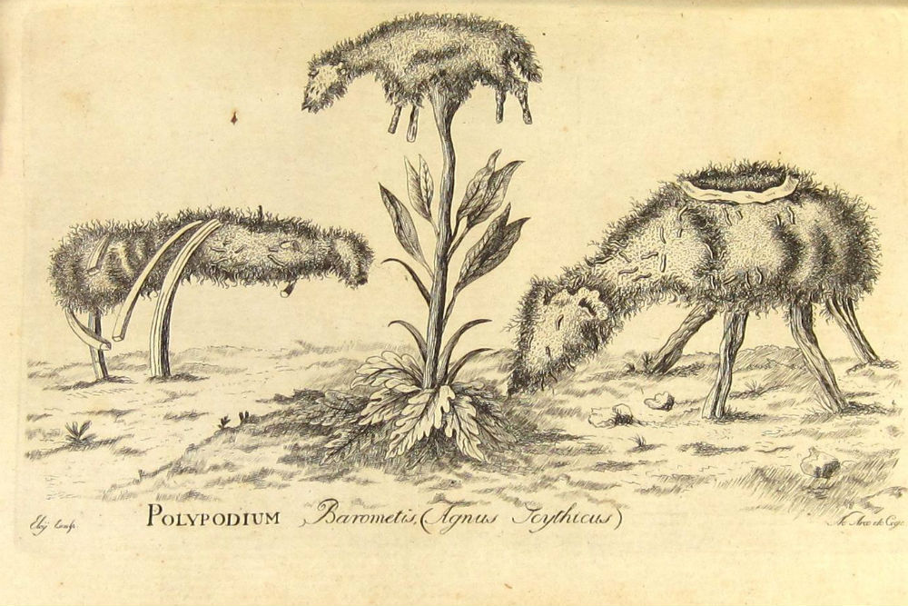 Круче британских ученых: 6 безумных научных теорий Круче британских ученых: 6 безумных научных теорий интересное