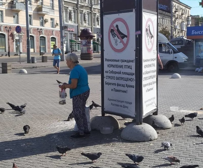 Идти против системы - это вам не шубу в трусы заправлять Идти против системы - это вам не шубу в трусы заправлять