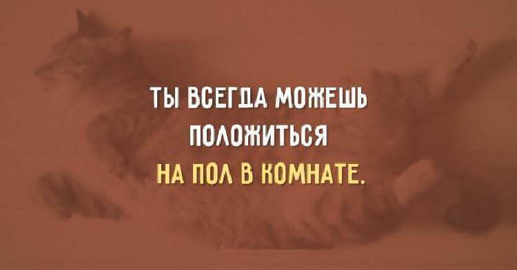 Прикольные «актрытки» с игрой слов Прикольные «актрытки» с игрой слов