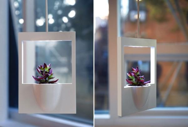 Креативные цветочные вазы 