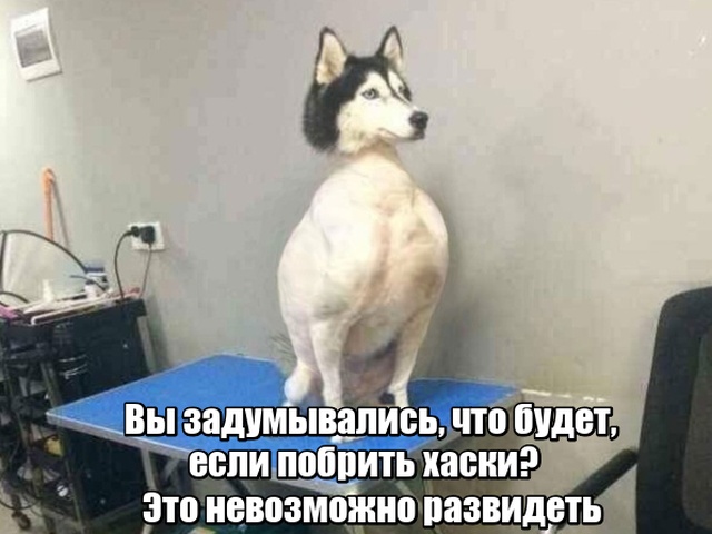 Подборка новых картинок Подборка новых картинок прикольные картинки