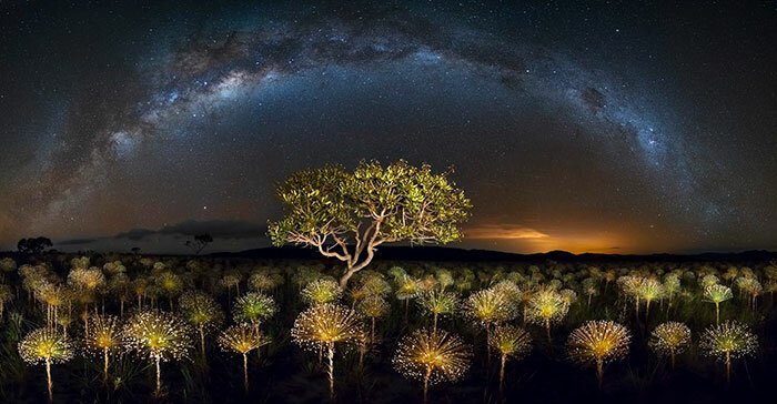 Национальный парк Veadeiros Tablelands, Бразилия, Марцио Эстевес Кабрал (Marcio Esteves Cabral) в мире, красиво, красивые места, красивый вид, природа, фото, фотоконкурс