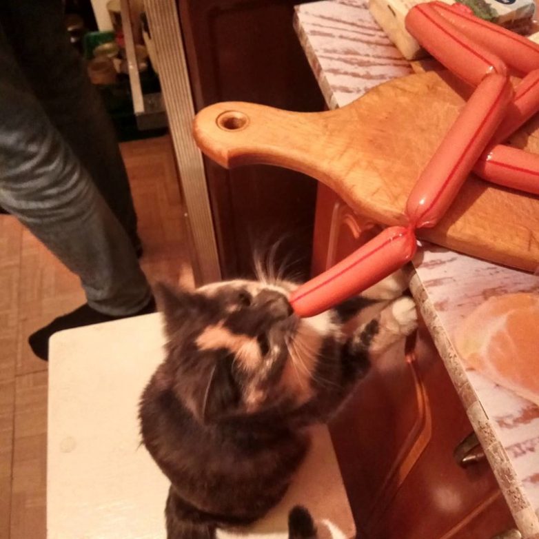 Вот это они по-настоящему спалились!