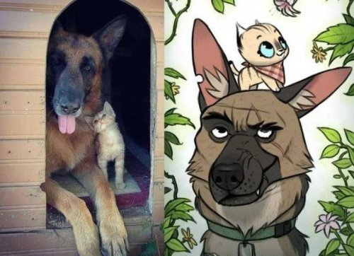 Свежие прикольные фото и картинки 