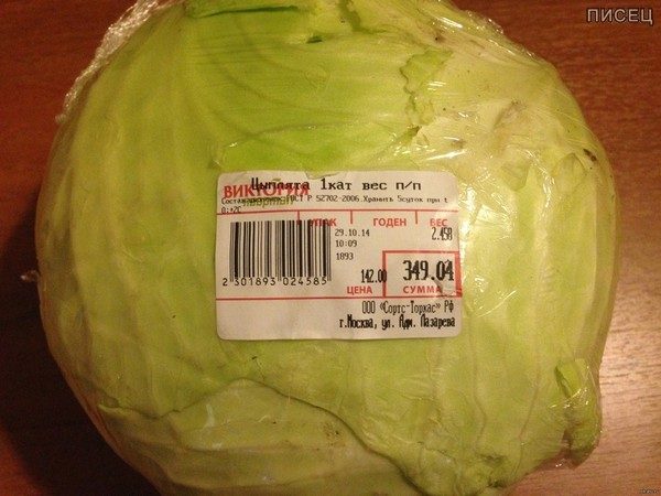 Да что же это такое! Куда ни глянь - сплошной обман! Да что же это такое! Куда ни глянь - сплошной обман! смешные картинки