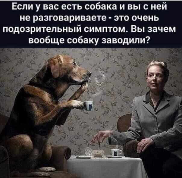 - Доктор, со мной что-то не в порядке. Мне только-только сорок лет... ночевал, порядке, слышать, Сколько, спрашивает—, литра, отвечает—, чтобы, звонит, хотят, котлету, Доктор, своими, спрашивает, числа, карточку, отдаетНа, обратно, взаймы, приеме