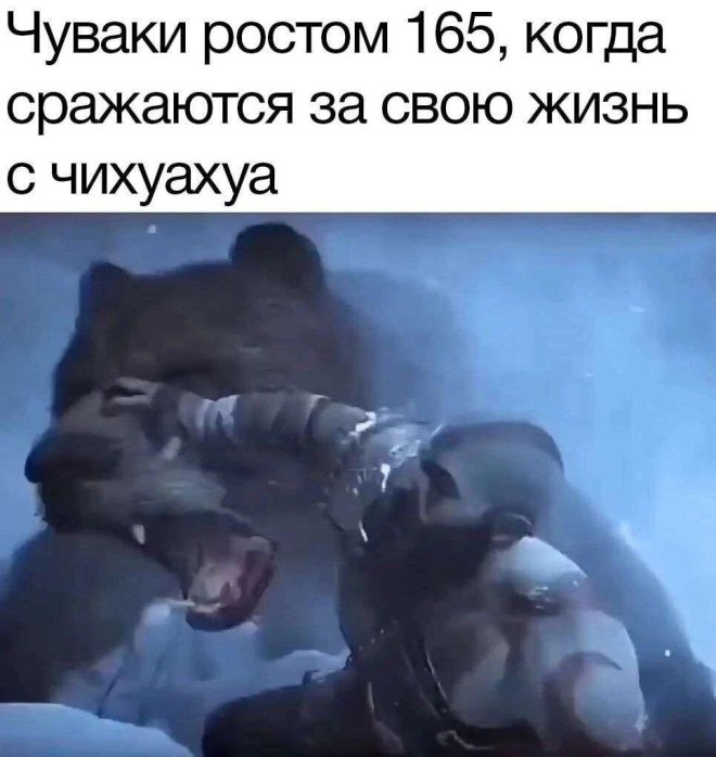 Смешные картинки с юмором и планы на лето Смешные картинки с юмором и планы на лето