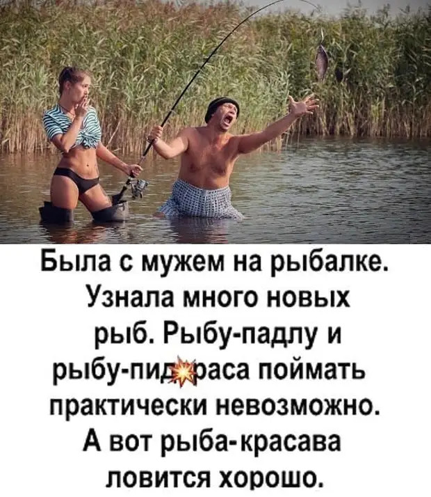 «Ещё один потерял голову от любви ко мне», — вздохнула самка богомола и нарисовала очередную звездочку на дереве 