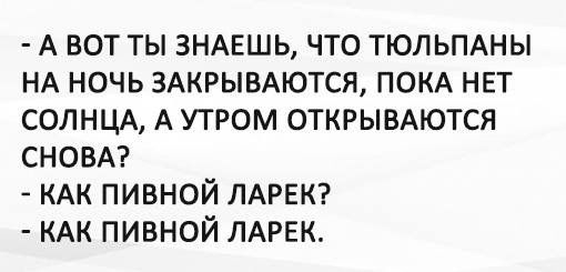 В бар заходит мужик, а за ним страус и мокрая кошка... Весёлые,прикольные и забавные фотки и картинки,А так же анекдоты и приятное общение