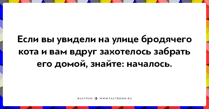 20 открыток о нелегкой жизни котов и их владельцев 20 открыток о нелегкой жизни котов и их владельцев