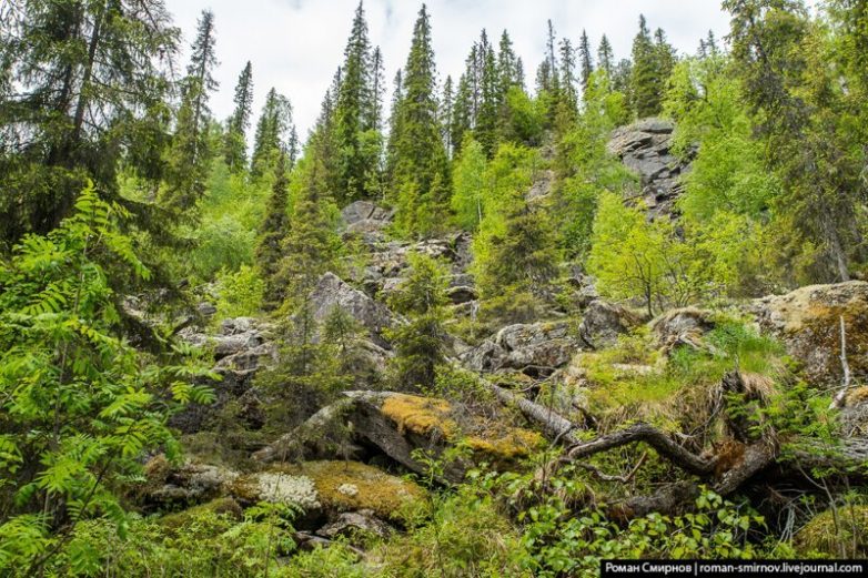 Северная сказка: заповедная Карелия Северная сказка: заповедная Карелия