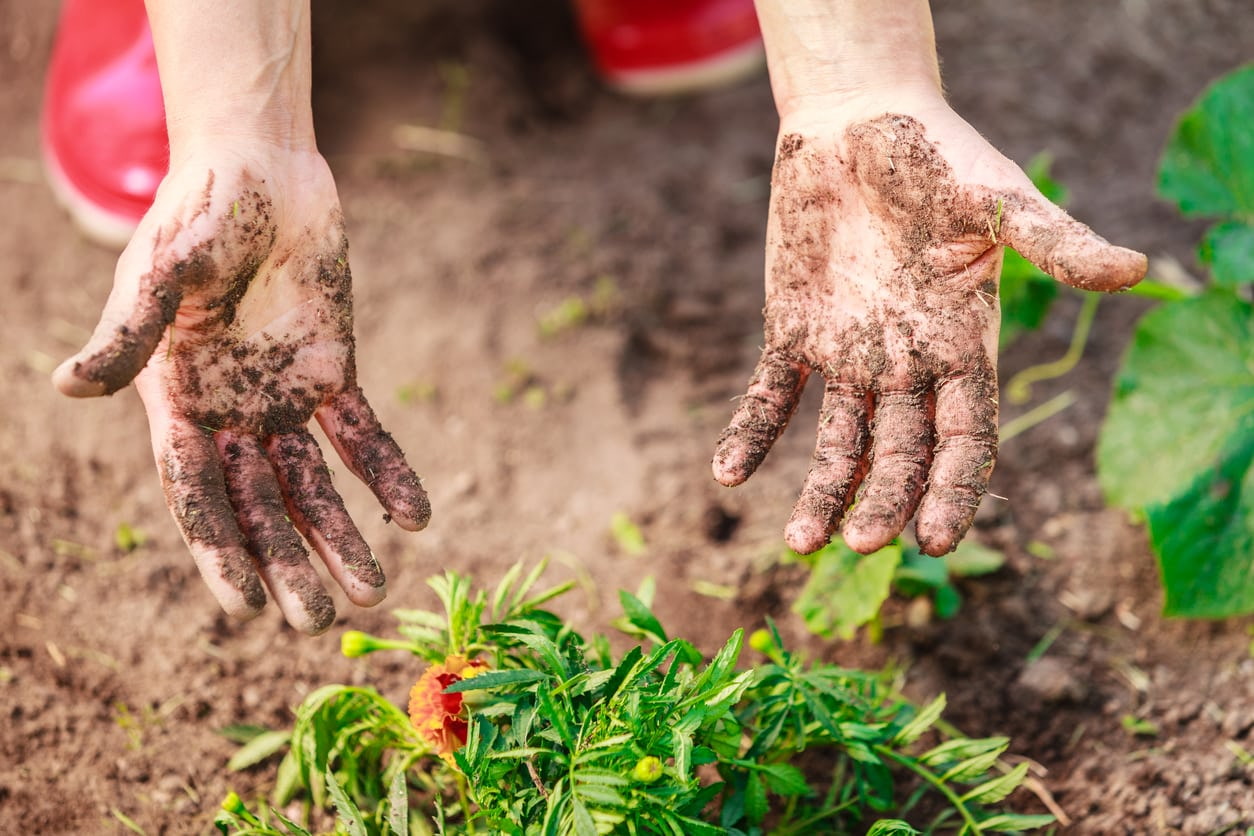 Как очистить руки от грязи после огорода? – 6 рабочих способов, которые пригодятся хорошей хозяйке