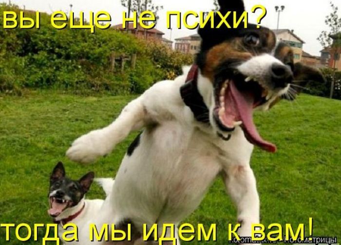 Мысли вслух :)