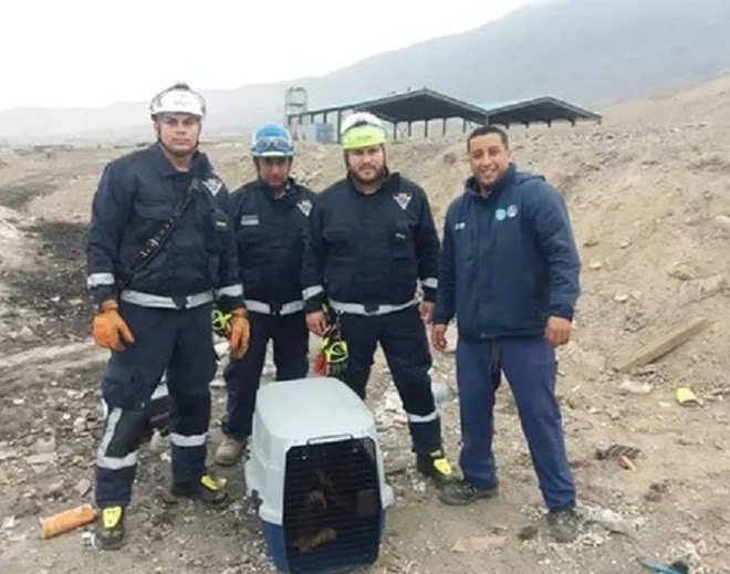 Спасатели стоят