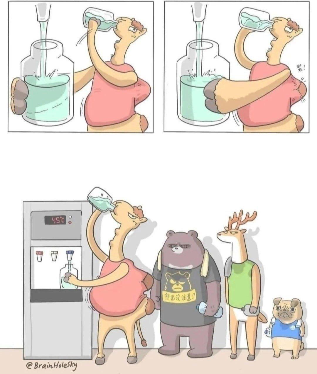 Смешная картинка 12