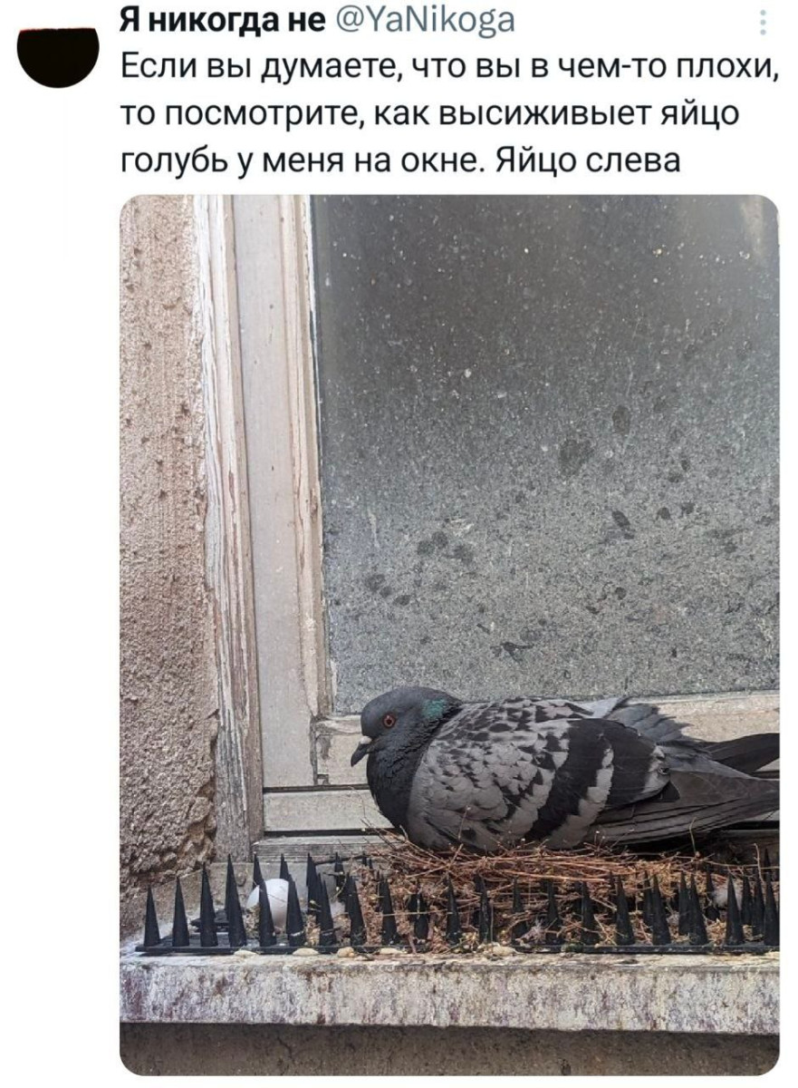 Смешные картинки в субботу и Домовенок Кузя 