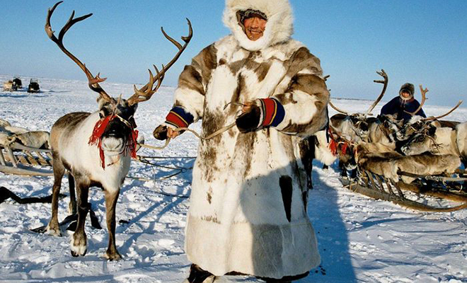 Мужчина заблудился в тундре в -40 и 4 дня выходил к людям на лыжах Культура