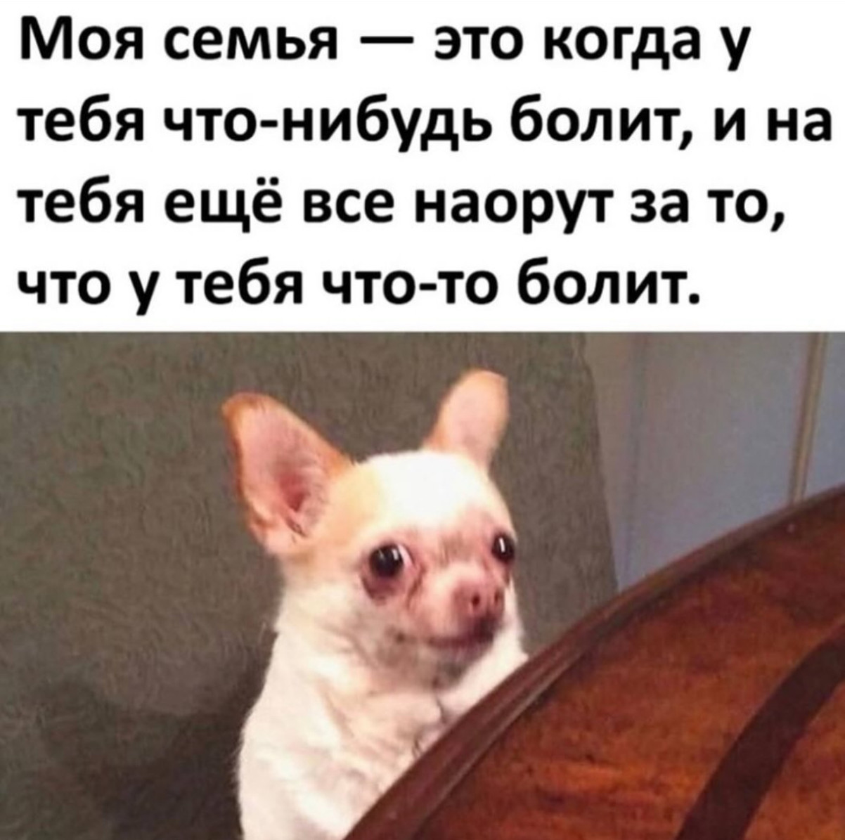 Вежливость стала такой редкостью, что некоторые принимаю ее за флирт 