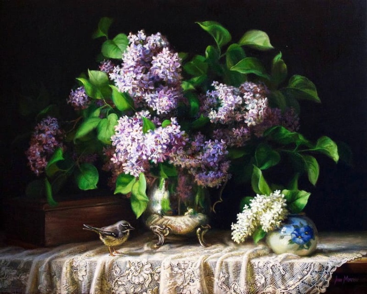 �������� Ann Morton (��� ������) ������� � 03