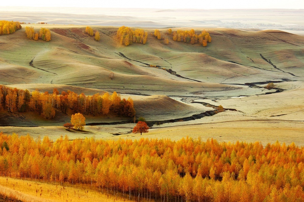 20   National Geographic