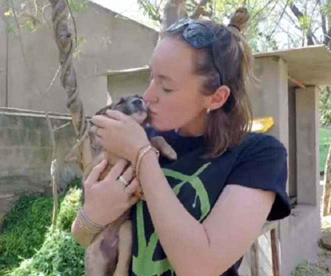 Щенок и женщина