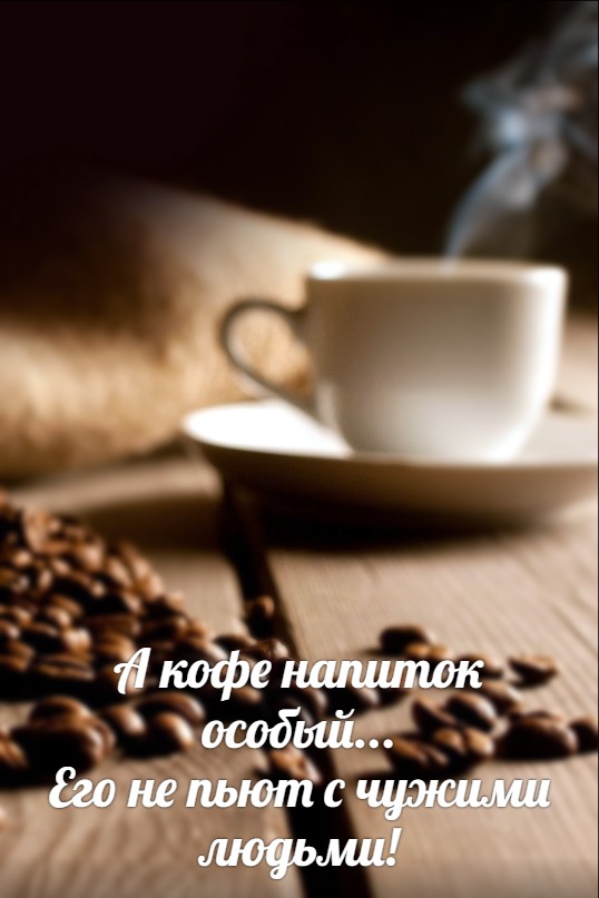 Настоящий джентельмен - это тот, кто кошку всегда называет кошкой, даже если он о нее споткнулся и упал...)) Настоящий джентельмен - это тот, кто кошку всегда называет кошкой, даже если он о нее споткнулся и упал...)) веселые картинки