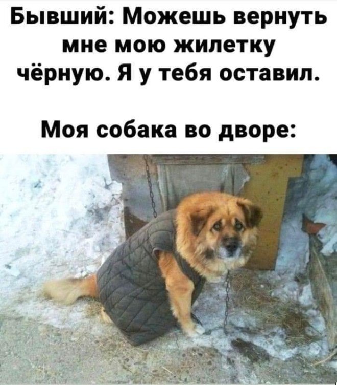 Смешные картинки в субботу и Домовенок Кузя 