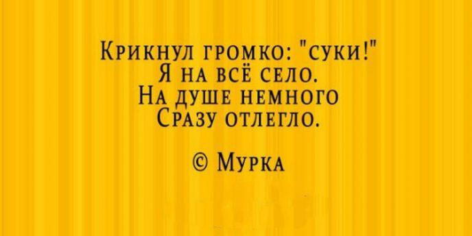 Стихи- депресняшки, которые вопреки всей логике поднимают настроение Стихи, долго, относиться, нужно, можно, проблеме, любой, историиК, самой, печальность, некоторую, несмотря, смеяться, будете, депресняшки, позитив, чистый, поэзииЭто, слово, новое