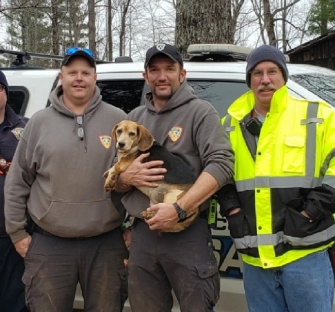 Пес и мужчины