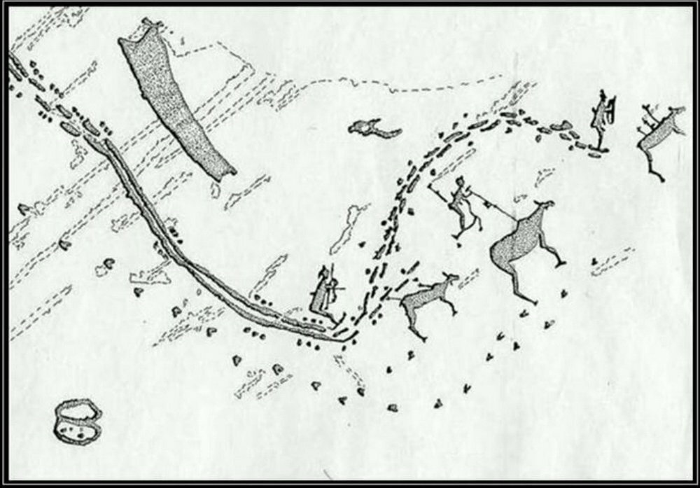 Северный олень – на живца