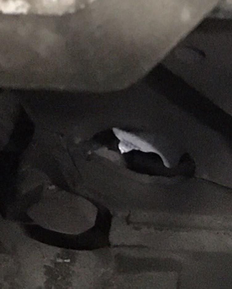 Автослесари забыли под капотом тряпку и теперь должны клиенту новый двигатель Автослесари забыли под капотом тряпку и теперь должны клиенту новый двигатель