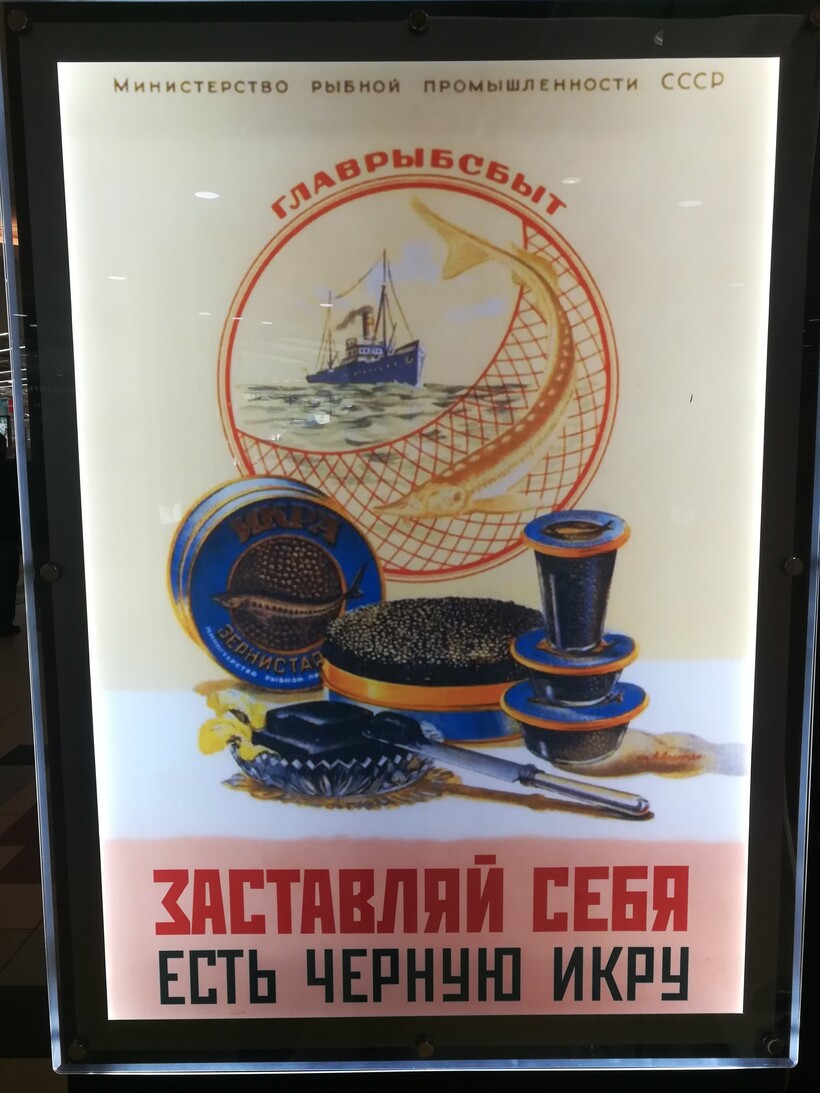 Для чего в СССР ввели рыбный день, и по какой причине им стал именно четверг четверг, стали, рыбный, такой, вообще, рыбного, рыбные, версия, многим, 1930х, блюда, очень, сказать, также, появилась, время, особо, когда, почему, советских