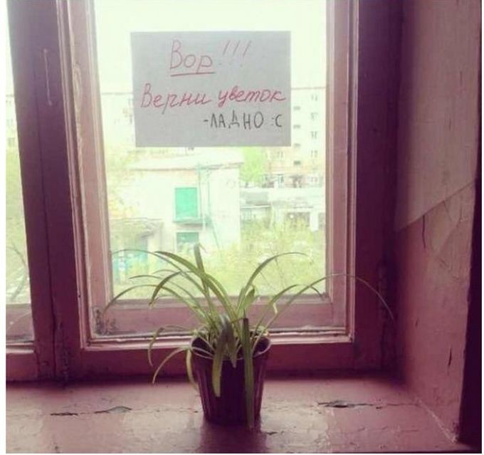 Подъездная переписка с соседями Подъездная переписка с соседями картинки,прикол,юмор