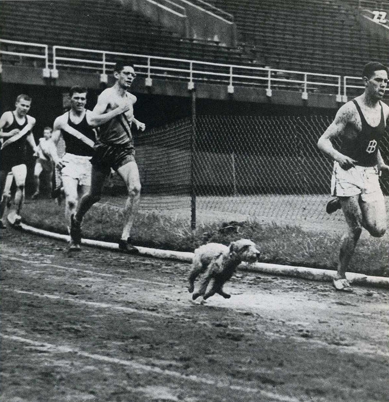 Лови момент истории: 35 самых удачных фото, украшавших журнал LIFE 