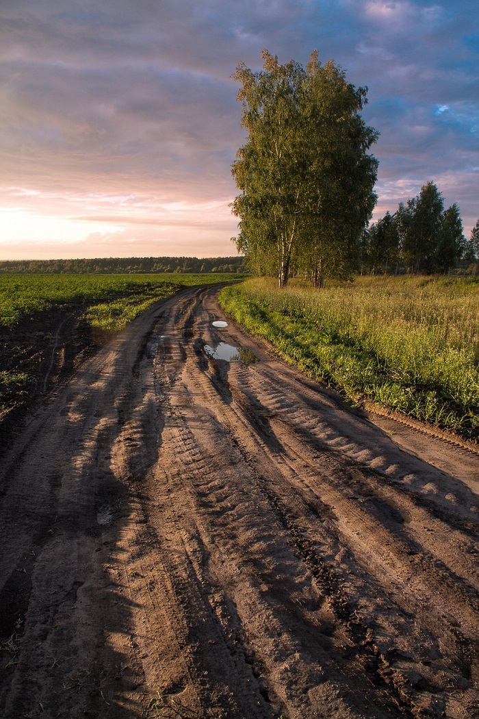 Деревенскими дорогами... 