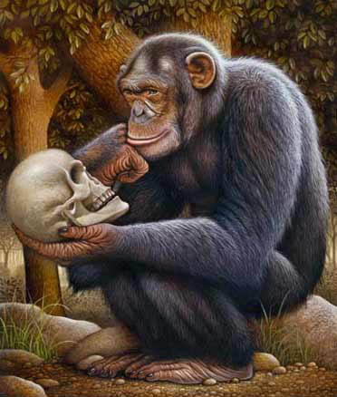 ГДЕ, ЗАЧЕМ И КАК «РАЗЪОБЕЗЬЯНИЛИСЬ» НАШИ ПРЕДКИ?