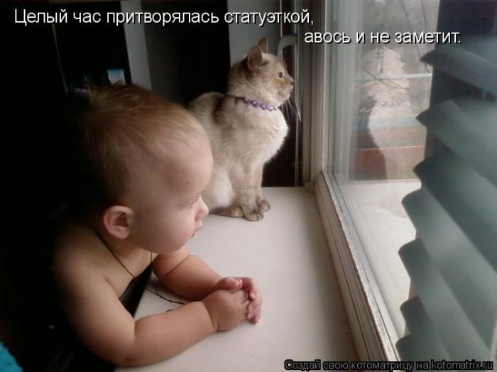 Мысли вслух :)