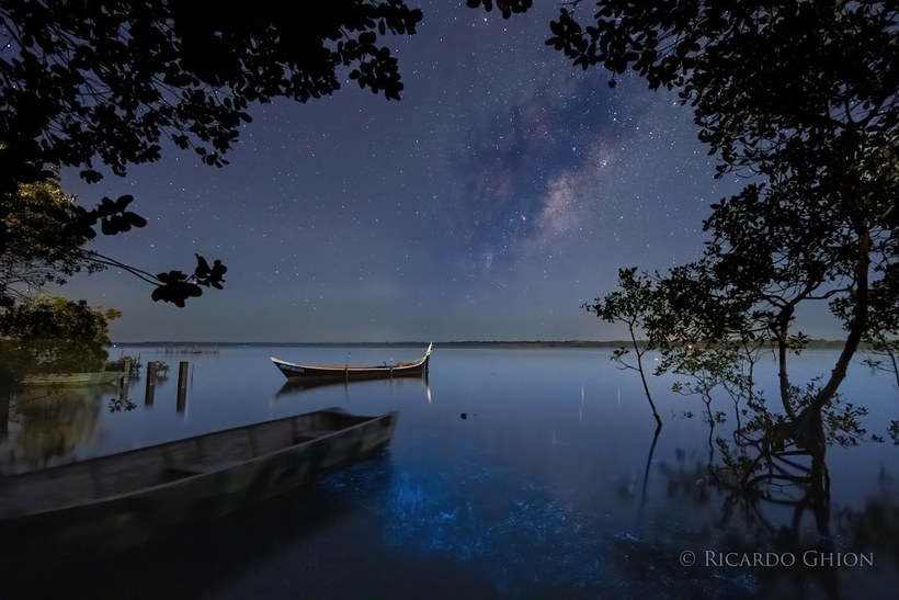 Фотограф запечатлел Млечный Путь и биолюминесцентные воды одновременно