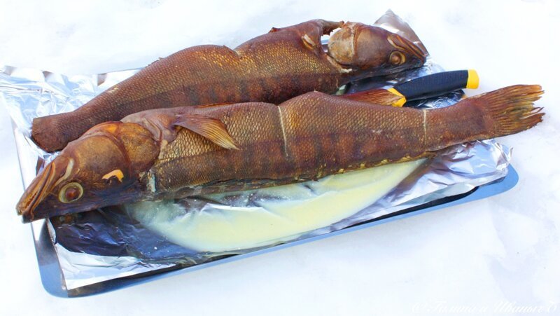 Судаки копчёные Судаки копчёные