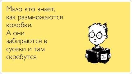 Веселые фото приколы и милые картинки с надписями 