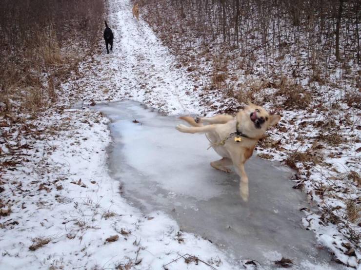 Подборка прикольных картинок Подборка прикольных картинок приколы,смешные картинки,юмор