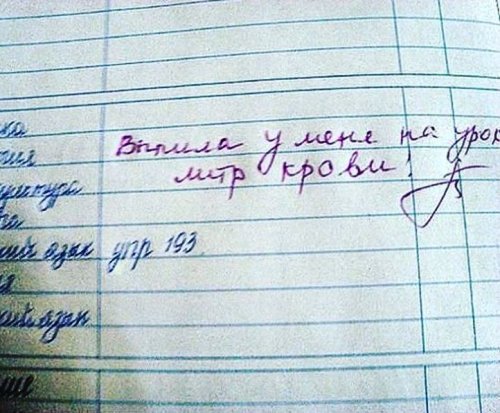 Смешные замечания в школьных дневниках Смешные замечания в школьных дневниках