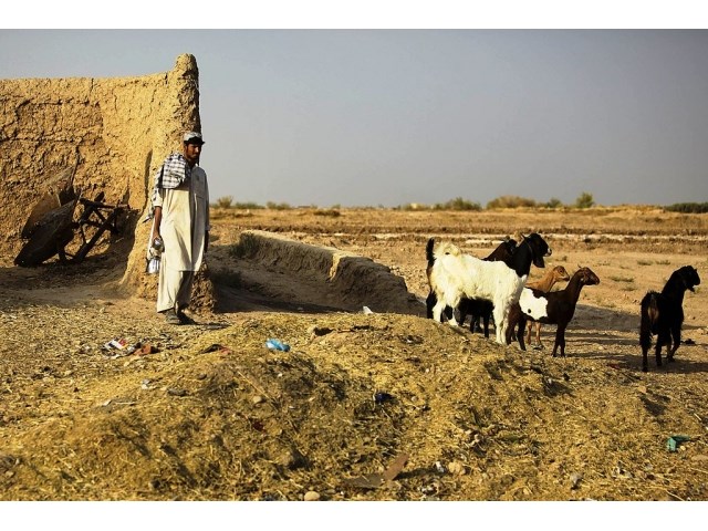 Зачем экс-президент Ашраф Гани рвется в Афганистан? Зачем экс-президент Ашраф Гани рвется в Афганистан? геополитика